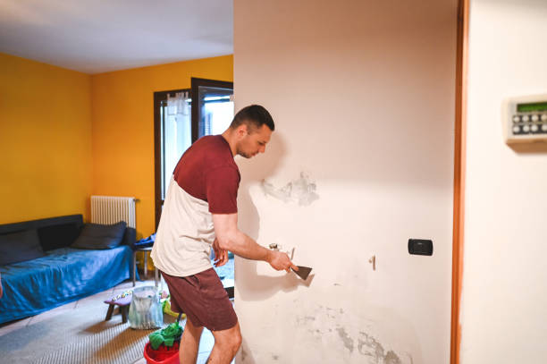 Best Mold Remediation  in Rapid City, SD