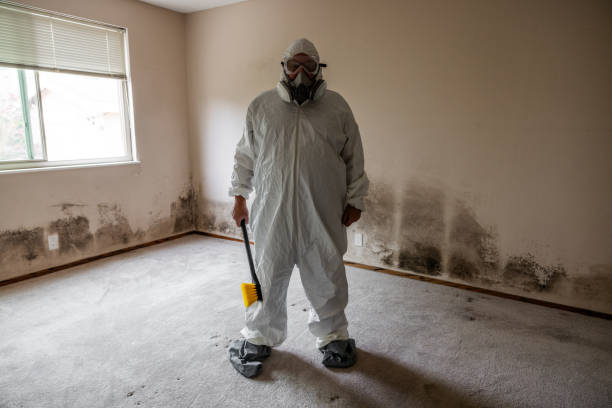 Best Mold Testing  in Rapid City, SD